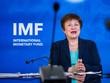 Kristalina Georgieva, Giám đốc điều hành IMF.