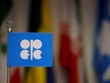 OPEC+ cảnh giác với việc sản lượng dầu của Mỹ tăng trở lại dưới thời chính quyền ông Trump