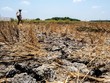 Hiện tượng El Nino có thể mạnh lên vào những tháng tới