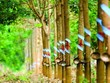Cao su Phước Hoà (PHR) sắp phát hành thêm gần 108,4 triệu cổ phiếu