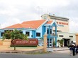 Afiex (AFX) mang hơn 220,8 tỷ đồng đầu tư vào cổ phiếu VIC