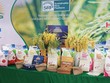 Lộc Trời (LTG) lên tiếng việc chưa nộp Báo cáo tài chính quý II/2026