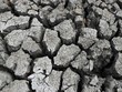 Hiện tượng El Nino có thể gây cú sốc mới cho thị trường hàng hóa