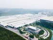 Amy Grupo: Câu chuyện IPO giữa áp lực tài chính và cuộc đua công suất