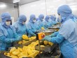 Rau quả Thực phẩm An Giang (ANT) muốn huy động 200 tỷ đồng từ cổ đông để trả nợ vay ngân hàng