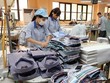 Kiểm toán đưa ý kiến ngoại trừ do Gilimex (GIL) chưa trích lập dự phòng tồn kho liên quan vụ kiện với Amazon