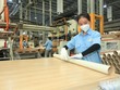 Gỗ An Cường (ACG) sắp trả cổ tức thêm 10%