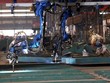 Hàn Quốc, Nhật Bản tăng tốc ứng dụng robot trong ngành đóng tàu