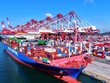 WTO nâng dự báo tăng trưởng thương mại hàng hóa toàn cầu