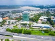 Sonadezi (SNZ) không đáp ứng điều kiện công ty đại chúng