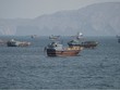 Cú sốc năng lượng tại eo biển Hormuz có thể châm ngòi khủng hoảng lương thực toàn cầu
