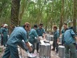 Cao su Đồng Phú (DPR): Lãi 433,7 tỷ đồng trong 9 tháng đầu năm 2026