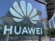 Huawei giảm hơn 50% lợi nhuận trong nửa đầu năm 2022