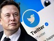 Elon Musk sẽ từ chức CEO tại Twitter