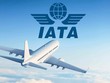 IATA: Ngành hàng không toàn cầu có thể đạt lợi nhuận 9,8 tỷ USD 