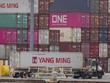 Container hàng hóa Trung Quốc tại cảng Los Angeles, Mỹ. Ảnh: AFP.
