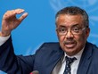 Tổng giám đốc WHO Tedros Adhanom Ghebreyesus.