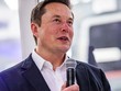 Elon Musk cảnh báo nhân viên về nguy cơ cổ phiếu của Tesla sụp đổ