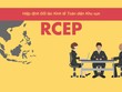 Hiệp định RCEP là gì mà có thể giúp mọi người quên TPP?