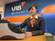 VIB báo lãi trước thuế 518 tỷ trong quý I, gấp 3,3 lần cùng kỳ 2017