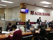 Agribank triển khai hoạt động tín dụng trọng tâm 5 tháng cuối năm 2018