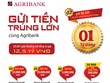 “Gửi tiền trúng lớn cùng Agribank” - niềm vui đầu năm Kỷ Hợi 2019