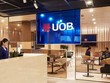 UOB dự báo tỷ giá USD/VND là 24.500 trong quý IV/2023
