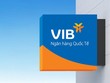 VIB: Lợi nhuận 6 tháng đạt hơn 5.000 tỷ đồng