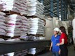Dòng vốn Agribank và kỳ vọng bứt tốc 2026