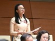 Đại biểu Trịnh Thị Tú Anh (đoàn Lâm Đồng) phát biểu sáng 28/10