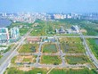 Xử lý vi phạm đất đai trước năm 2024: Chính phủ chỉ đạo rà soát pháp luật