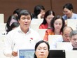 Đại biểu Dương Minh Tuấn (đoàn TP HCM) đề nghị làm rõ tỉ lệ nội địa hóa sau khi dự án đường sắt Lào Cai - Hà Nội - Hải Phòng được tăng vốn thêm 86.000 tỷ đồng.