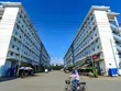 Việt Nam đang chuyển dịch định hướng từ phát triển nhà để bán sang nhà cho thuê