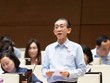 Đại biểu Trần Hoàng Ngân (TP Hồ Chí Minh) phát biểu tại hội trường Quốc hội sáng 31/10.