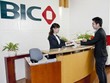 Năm 2013: Lợi nhuận BIC đạt trên 123 tỷ đồng