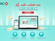 BIC ra mắt website bảo hiểm mới
