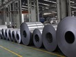 Tiêu thụ vượt trung bình thế giới, thép vẫn được khuyến nghị xây thêm nhà máy mới 