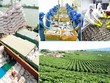 Hai Bộ bắt tay liệu có tìm được hướng đẩy xuất khẩu nông, thủy sản?