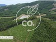 Agribank - mắt xích tài chính trong chuỗi giá trị tín chỉ carbon