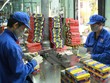 Hoạt động đóng gói tại cơ sở sản xuất của Pin Hà Nội