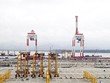 Hai cần cẩu bốc dỡ container tại cảng Lạch Huyện