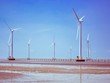 Chi phí sản xuất điện gió ngoài khơi chỉ còn 5,8 UScent/kWh vào năm 2025
