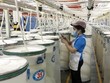 Doanh nghiệp FDI nắm phần lớn ngành sản xuất xơ sợi, khi đóng góp tới 2,7 tỷ/3,7 tỷ USD giá trị xuất khẩu trong năm 2020.