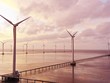 Việt Nam hiện mới có dự án điện gió gần bờ. Trong ảnh: Dự án điện gió Bạc Liêu. Ảnh: Đức Thanh
