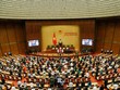 Một phiên họp toàn thể của Quốc hội khoá XIV.