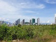 Dự án Bay View Park Nha Trang sau nhiều năm được giao đất vẫn là bãi cỏ um tùm