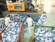 Thoái vốn doanh nghiệp nhà nước tiến hành rất chậm, dù Chính phủ đã nhiều lần đôn đốc. Trong ảnh: Công ty cổ phần Nhựa Tiền Phong có nhiệm vụ thoái 37,1% vốn nhà nước.