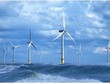 Hải Phòng muốn bổ sung 3.900 MW điện gió ngoài khơi vào Quy hoạch điện VIII