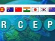 Cơ hội thu hút FDI từ các nước thành viên RCEP sẽ lớn hơn khi Việt Nam xây dựng nhiều cơ chế, chính sách đón dòng vốn dịch chuyển.