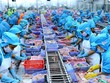 Xuất khẩu thủy sản đạt 8,9 tỷ USD vào cuối năm 2021